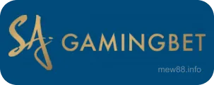 Gaming Bet - Đối tác cá cược thể thao uy tín